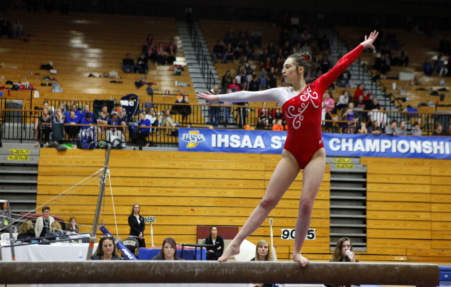Gallery: Gymanstics state finals